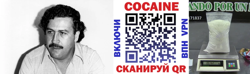 COCAIN Fish Scale  купить наркотик  Сольвычегодск 