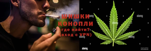 СК Зеленокумск