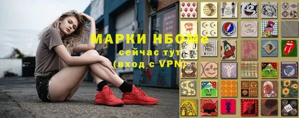 СК Зеленокумск