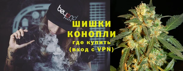 СК Зеленокумск