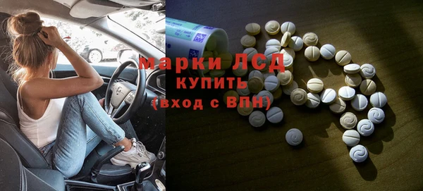 СК Зеленокумск