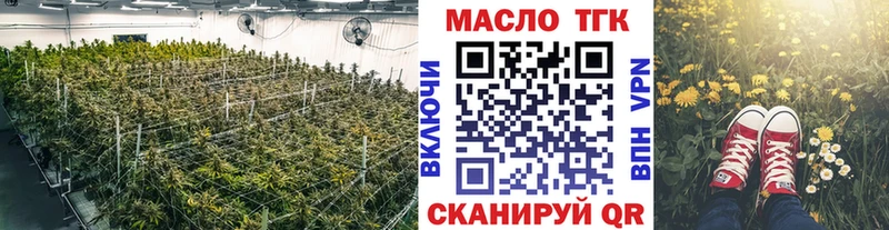 где купить наркоту  гидра ссылка  Дистиллят ТГК концентрат  Сольвычегодск 