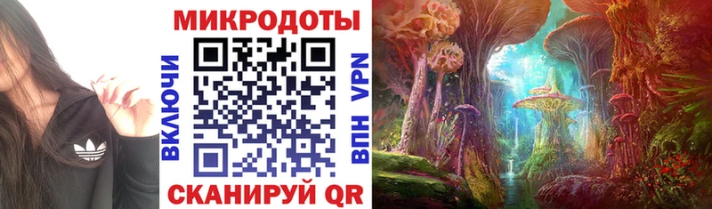 Псилоцибиновые грибы Psilocybine cubensis  наркотики  Сольвычегодск 